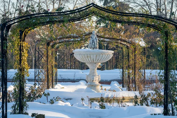 2021 'de kar yağışı sonrası LA ROSALEDA DEL Emekliliği