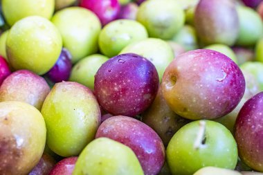 Taze toplanmış sepetlerdeki kırmızı zeytinlerin detaylı fotoğrafları.