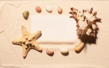 Beyaz kart denizyıldızı, çerçeve içinde deniz kabuğu, kum üzerinde taşlar