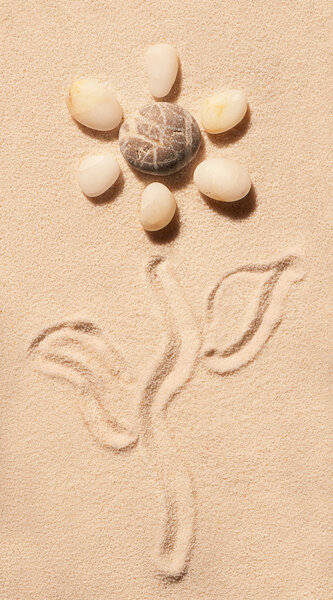 Цветок морских камней, стебель и листья, нарисованные на песке

