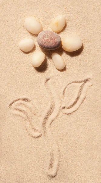 Flor de pedras marinhas desenhadas na areia. Verão praia fundo — Fotografia de Stock