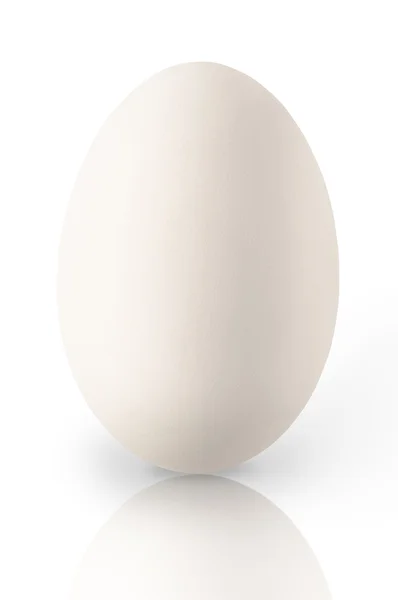 Jeden bílý slepičí vejce s odleskem — Stock fotografie