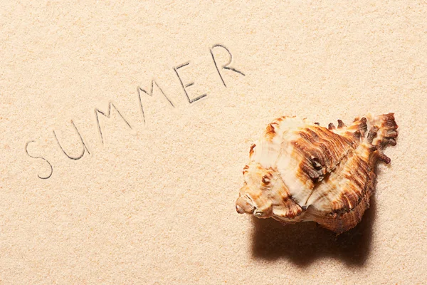 Seashell and summer lettering drawn on beach sand — Stock Photo, Image