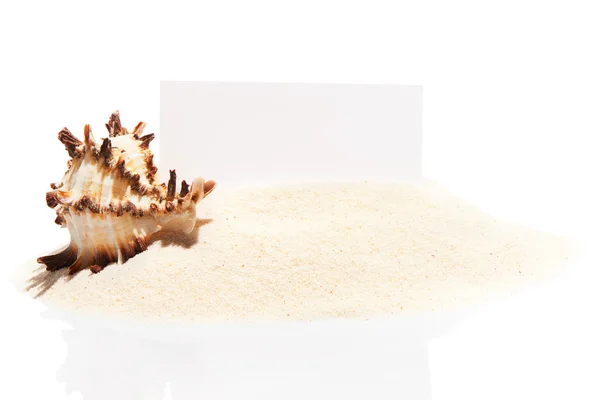 Белая визитная карточка с морской раковиной на песке — стоковое фото