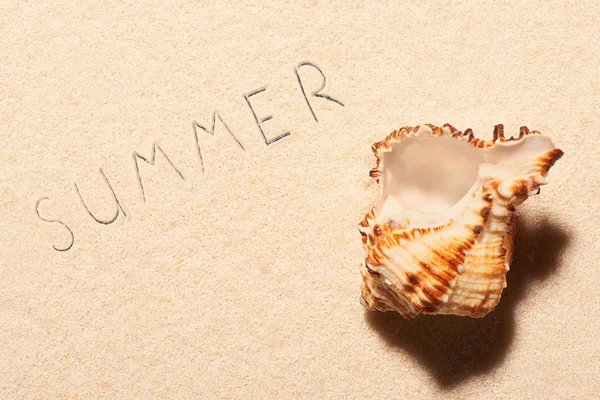 Empty sea shell and summer lettering drawn on sand — Stock Photo, Image