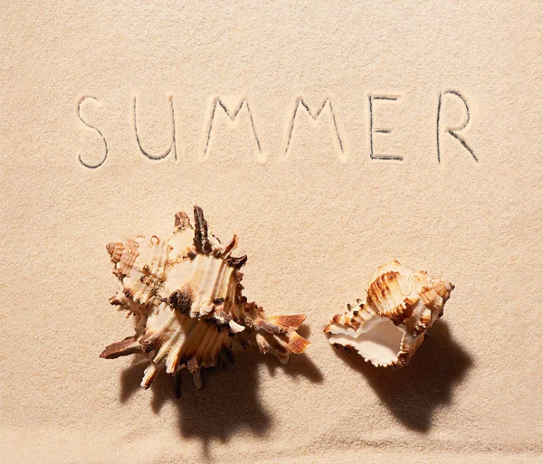Two sea shells and summer lettering drawn on sand — Stock Photo, Image
