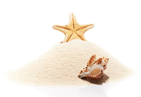 Морские звезды и морская раковина на куче пляжного песка — стоковое фото