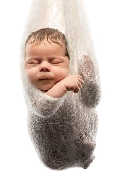 Baby hanged in hammock isolated on white background — Zdjęcie stockowe