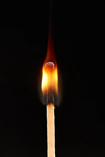 Burning match isolated on black background — стоковое фото