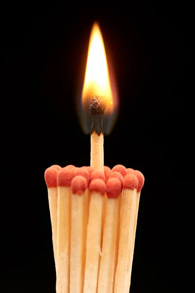 Group of red wooden matches with burning match in the centre — 스톡 사진