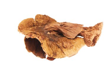 kurutulmuş mantar izole üzerinde beyaz arka plan