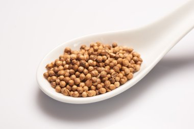 Beyaz Seramik kaşık kişniş tohumu