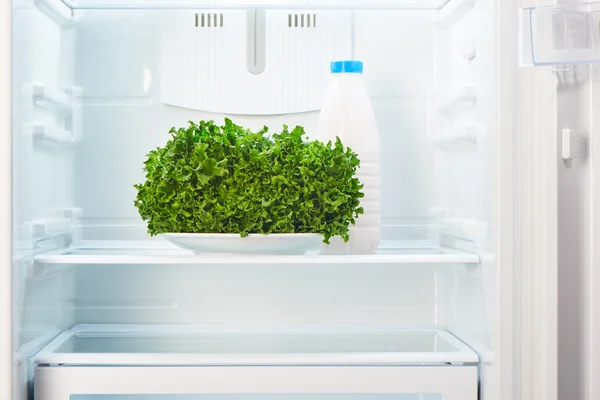 Salada verde na placa branca e uma garrafa de vidro de iogurte no refrigerador vazio aberto — Fotografia de Stock