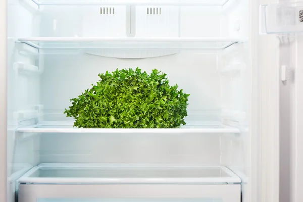 Green salad on shelf of open empty refrigerator