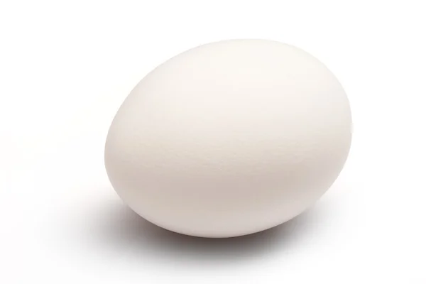 Jedno bílé kuřecí vejce izolované na bílém — Stock fotografie