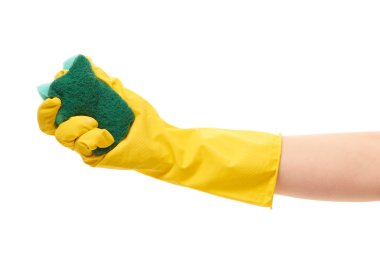 Female hand in yellow protective glove holding green cleaning sponge