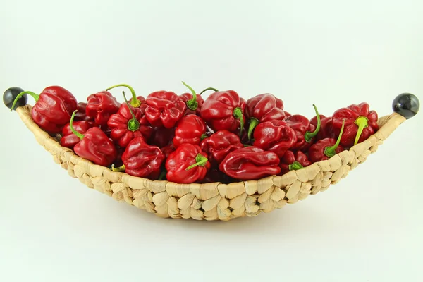 Red habanero — Stock Photo, Image