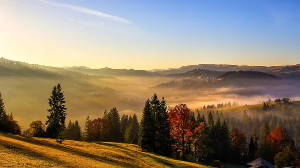 Naturaleza — Foto de Stock