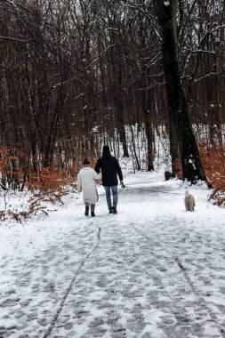 Genç bir çift, karlı bir ormanın ortasında köpekleriyle yürüyor.