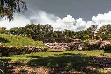 Meksika ormanının ortasına taş köprü inşa edildi.