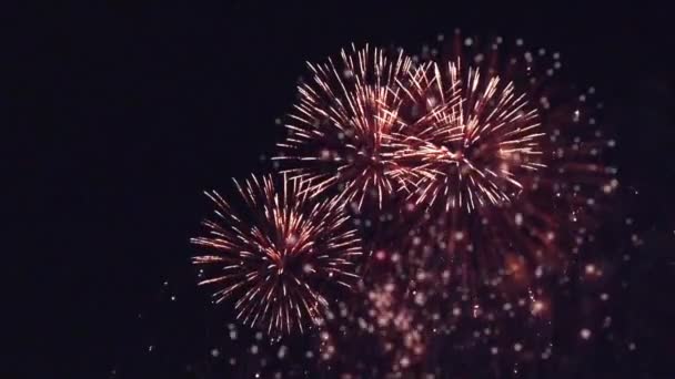 Fuegos Artificiales Con Luces Bokeh Cielo Nocturno — Vídeos de Stock