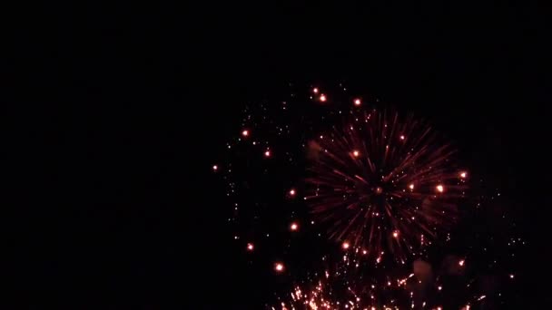 Vuurwerk Met Bokeh Lichten Aan Nachtelijke Hemel — Stockvideo