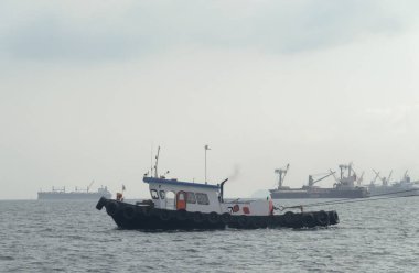 Uluslararası Konteyner Gemisinin Sunshine Sky 'da lojistik ve taşımacılığı, Nakliye, Nakliye