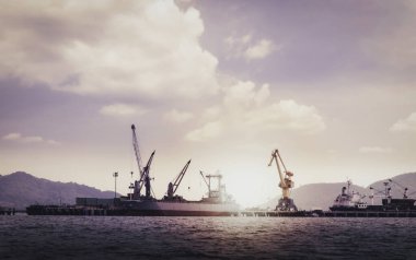 Uluslararası Konteyner Gemisinin Sunshine Sky 'da lojistik ve taşımacılığı, Nakliye, Nakliye