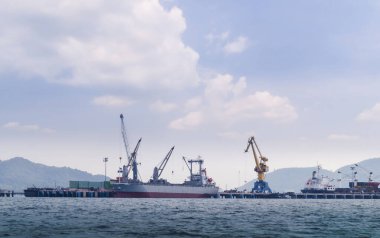 Uluslararası Konteyner Gemisinin Sunshine Sky 'da lojistik ve taşımacılığı, Nakliye, Nakliye