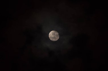 Metin için boş alanı olan soyut renkli havai fişek arkaplanı