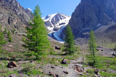 Altay yaz manzara, Rusya Federasyonu