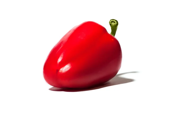 Färgglada paprika — Stockfoto