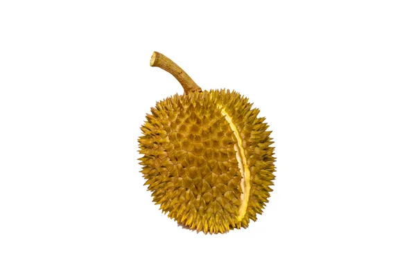 Durian - Stok İmaj