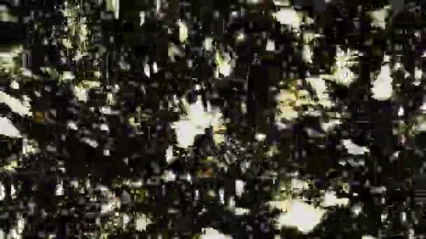 Transporte Rápido Manchas Blancas Rayas Círculos Brillantes Negro — Vídeo de stock