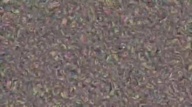 Çok renkli noktaların ve parçacıkların hızlı parlaması