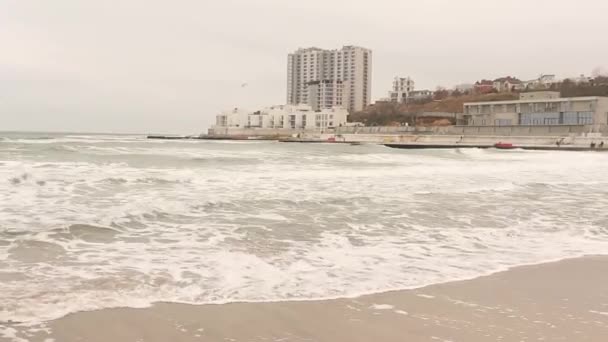 Vagues hivernales de la mer Noire à Odessa — Video