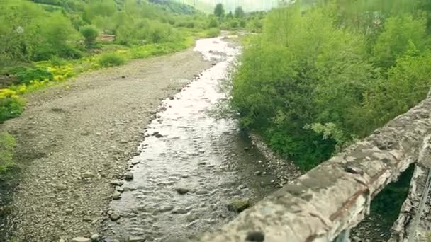 Río de montaña en las montañas Cárpatas — Vídeo de stock