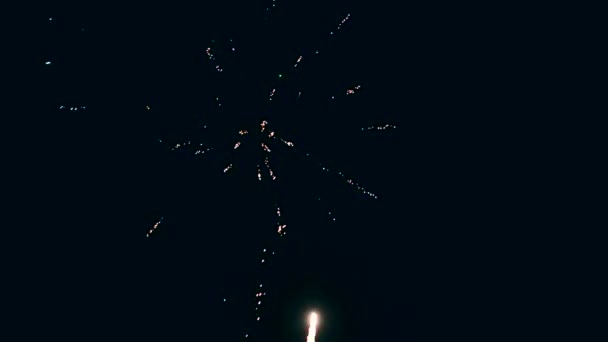 Fireworks display on dark sky background. — Stock Video