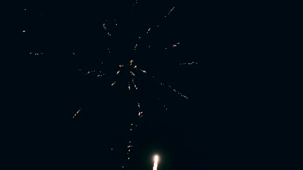 Exhibición de fuegos artificiales en el fondo del cielo oscuro. — Vídeos de Stock