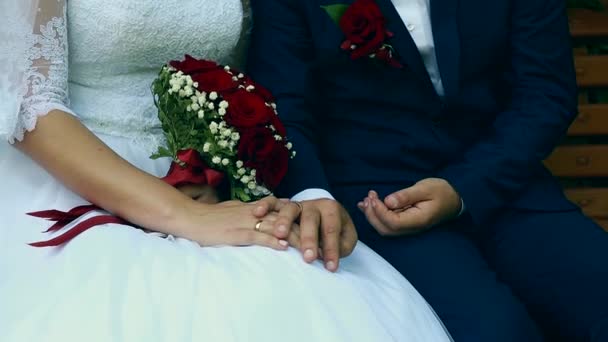 Sposa e sposo che si tengono per mano — Video Stock