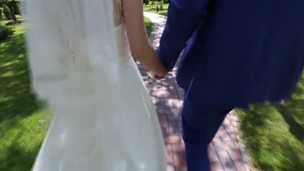 Matrimonio tema, tenendo per mano gli sposi — Video Stock