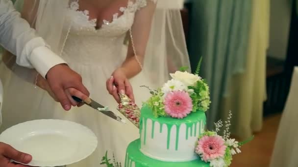 Una novia y un novio están cortando su pastel de bodas. — Vídeo de stock