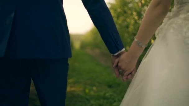 Novia y novio tomados de la mano boda — Vídeo de stock