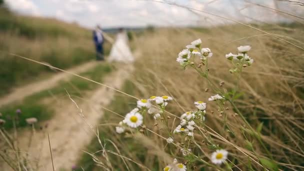 Ευτυχισμένη νύφη και τον γαμπρό απολαμβάνοντας την ημέρα του γάμου τους στην καταπράσινη φύση, ξαπλωμένη στο γρασίδι — Αρχείο Βίντεο