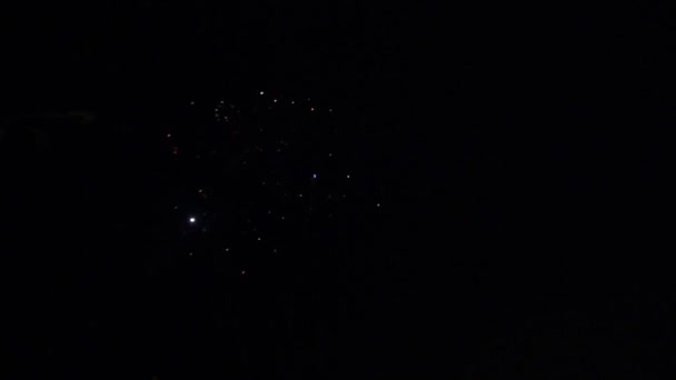 Fuochi d'artificio brillantemente colorati e saluto di vari colori nel cielo notturno — Video Stock