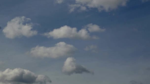 Timelapse. Grote witte wolken op een blauwe hemelachtergrond — Stockvideo