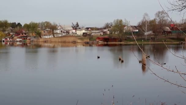 Piękny krajobraz jeziora — Wideo stockowe