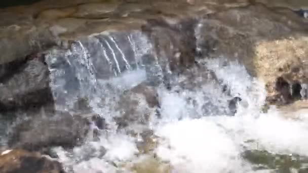 Cascadas de cascada que fluyen sobre rocas planas en el paisaje forestal — Vídeo de stock