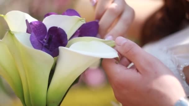Wedding bouquet of the bride — Stock Video