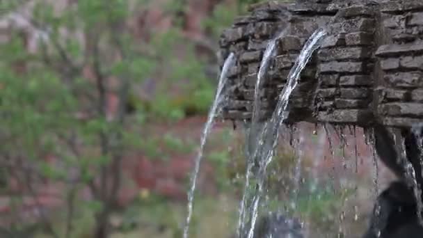 Prachtvolle dekorative Wasserfälle mit goldenen kleinen Fischen im tropischen Park — Stockvideo